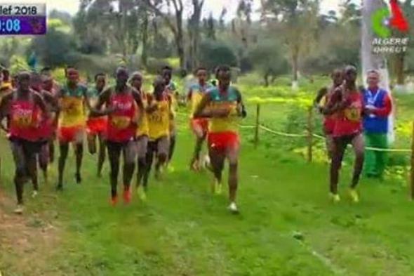 سيطرة مطلقة لشابات إثيوبيا وكينيا على بطولة افريقيا للعدو الريفي